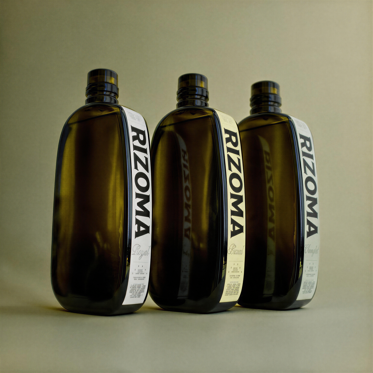 Discovery · Picual, Royal y Changlot