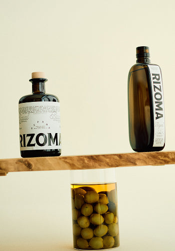 Rizoma